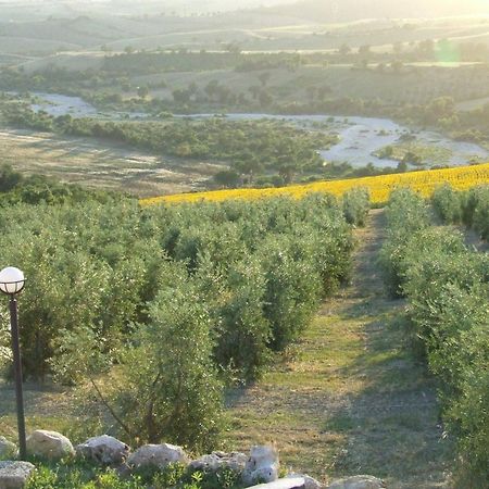 Bio Agriturismo Il Torrione Сатурния Экстерьер фото