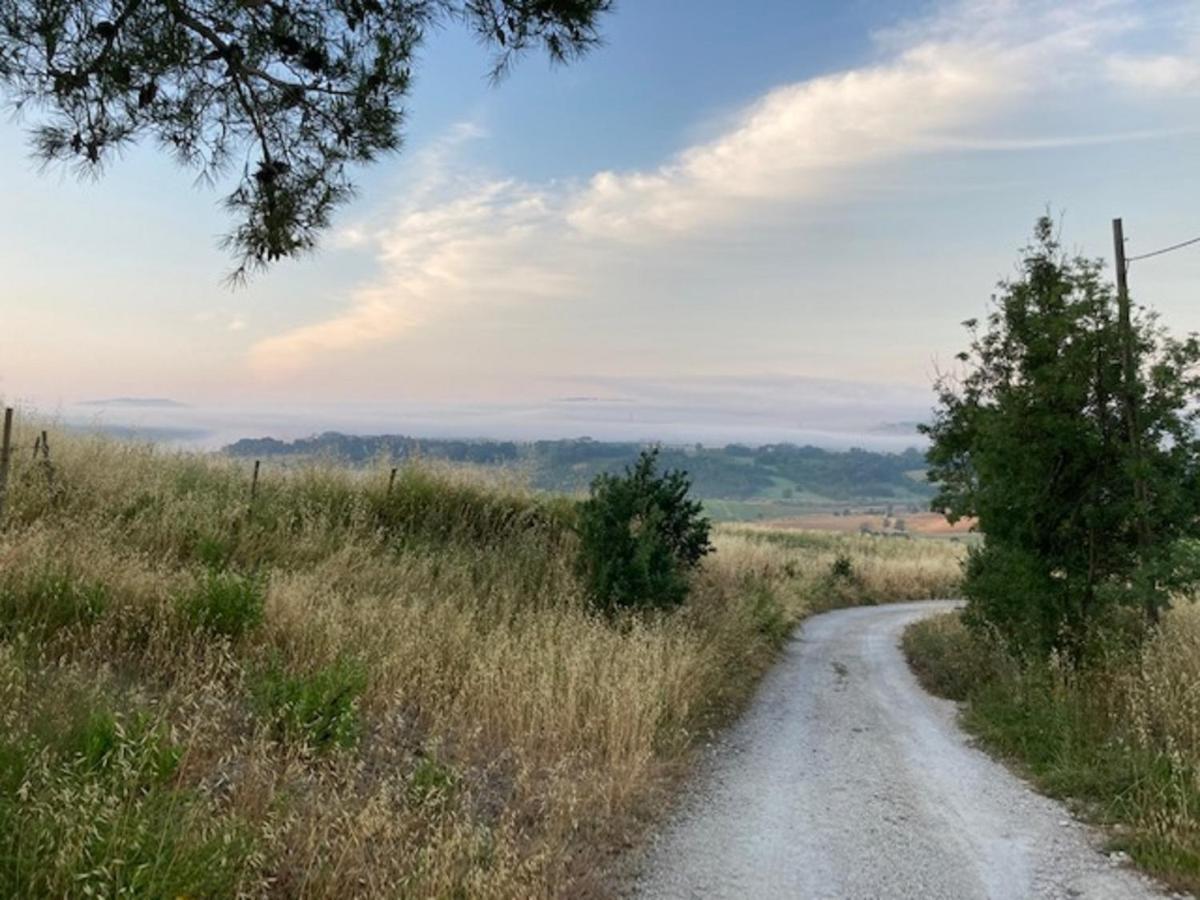 Bio Agriturismo Il Torrione Сатурния Экстерьер фото