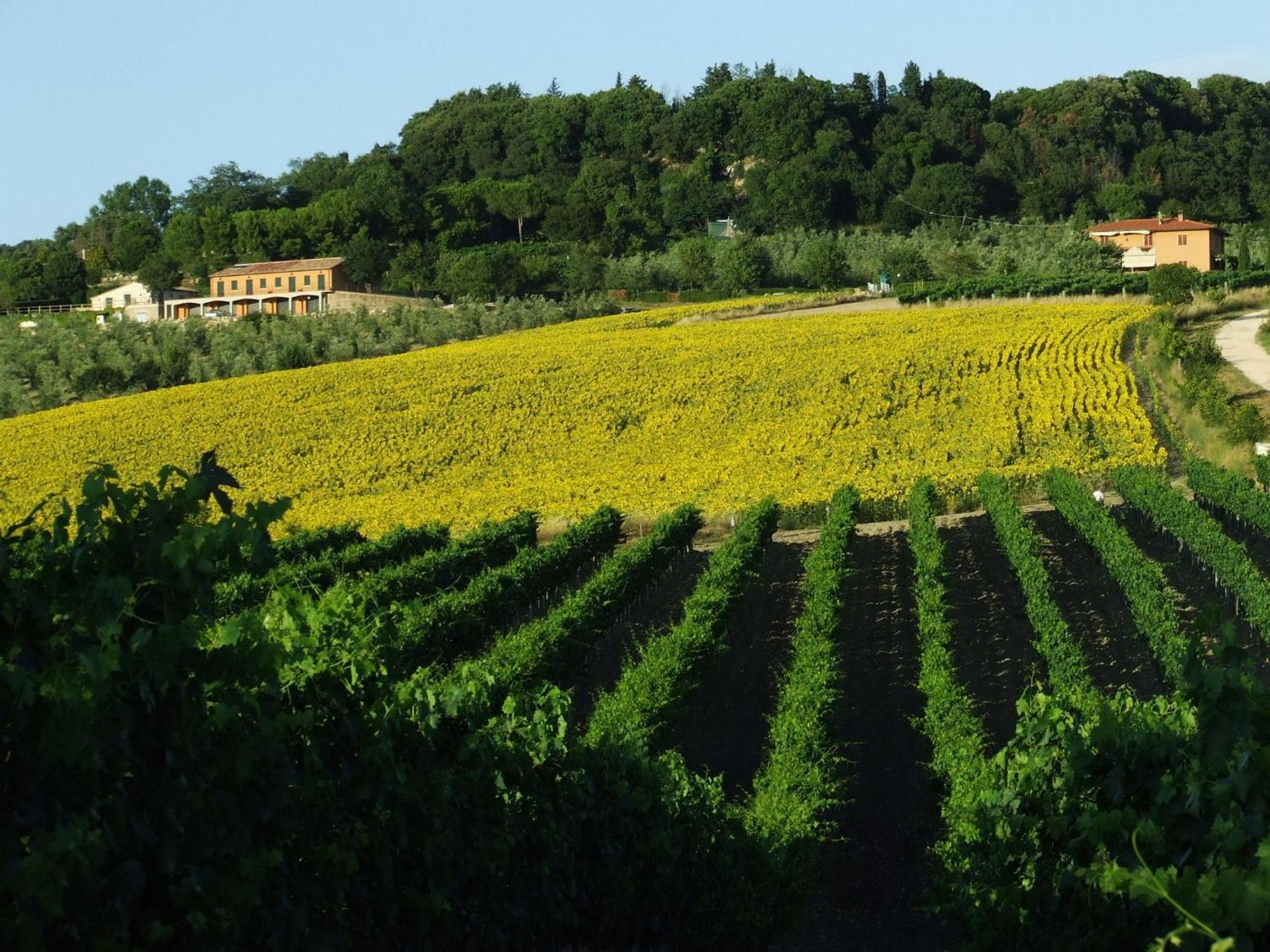 Bio Agriturismo Il Torrione Сатурния Экстерьер фото